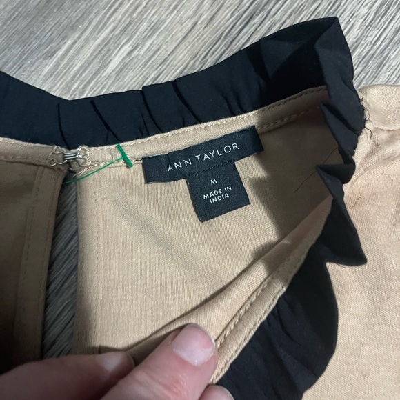 Ann Taylor Beige Top with Black Ruffle Neckline- timeless classic - Picture 5 of 5